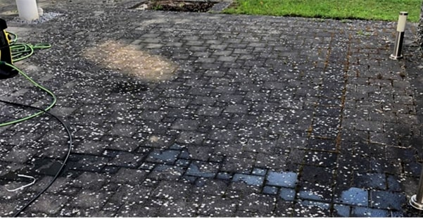 Tile and Paver Pressure Washing