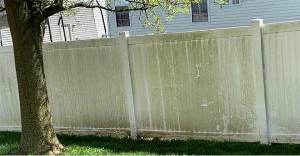 Fence Cleaning